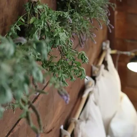 Apartment Ankina Kucica Vodenicko Brdo Pranjani