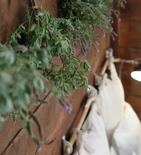 Apartman Ankina Kucica Vodenicko Brdo Pranjani